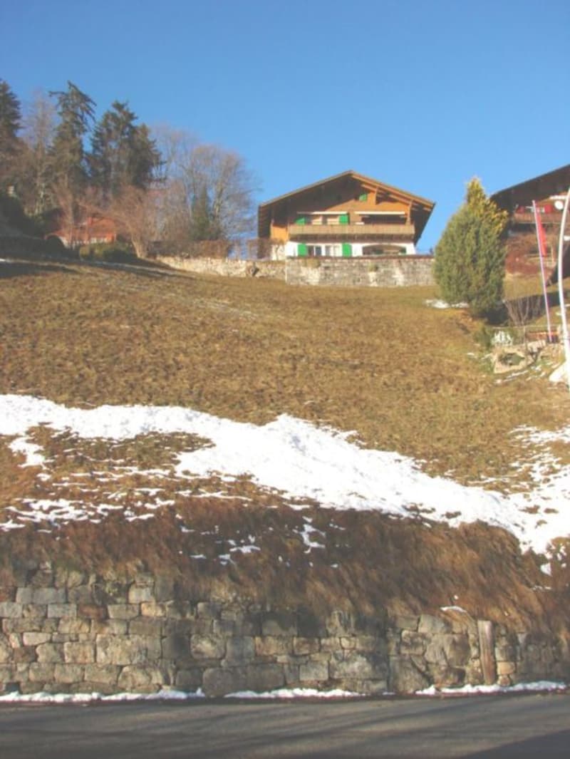 2-story wooden house with stone foundation, surrounded by trees and snow-covered ground