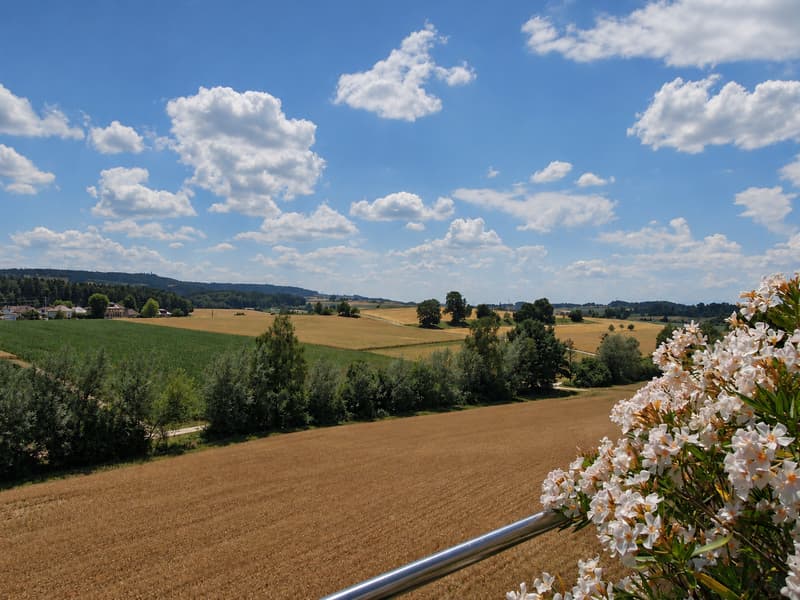5.5-Zimmer-Attikawohnung mit 165 m² Wohnfläche und 170 m² Terrasse (14)