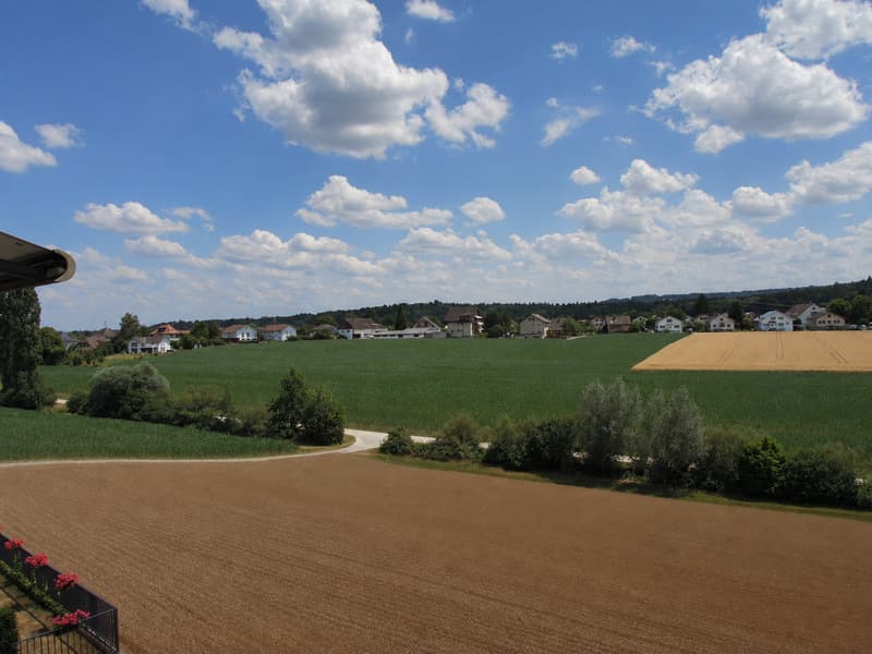 5.5-Zimmer-Attikawohnung mit 165 m² Wohnfläche und 170 m² Terrasse (13)
