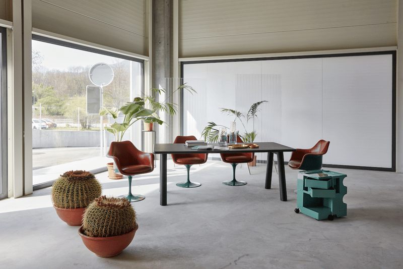 large open room with furniture and plants, concrete floor, glass doors, white wall