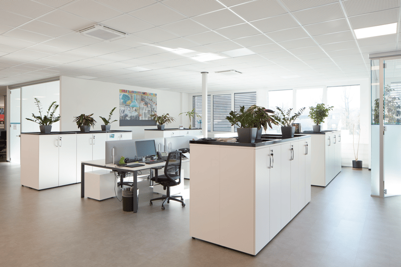 an office room with desks, cabinets, potted plants, chairs, computers, monitor, glass door