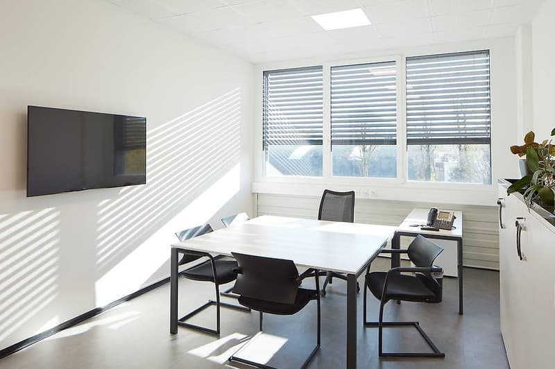 Office of 1'223 sqm - Cadempino (7)