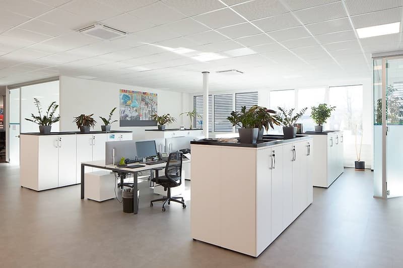 Office of 1'223 sqm - Cadempino (6)
