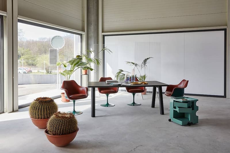 Office of 1'223 sqm - Cadempino (3)