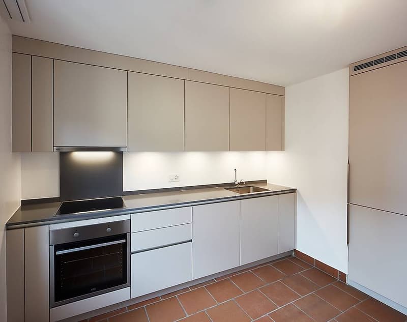 Apartment in the core - 3.5 rooms (1)