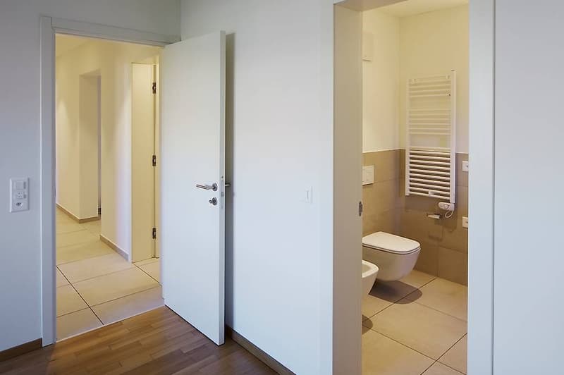 Attic 4.5 rooms in Pregassona (5)