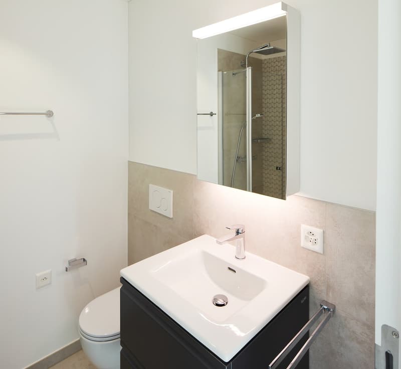 Appartamento 2.5 locali con giardino a Cassina d'Agno (4)