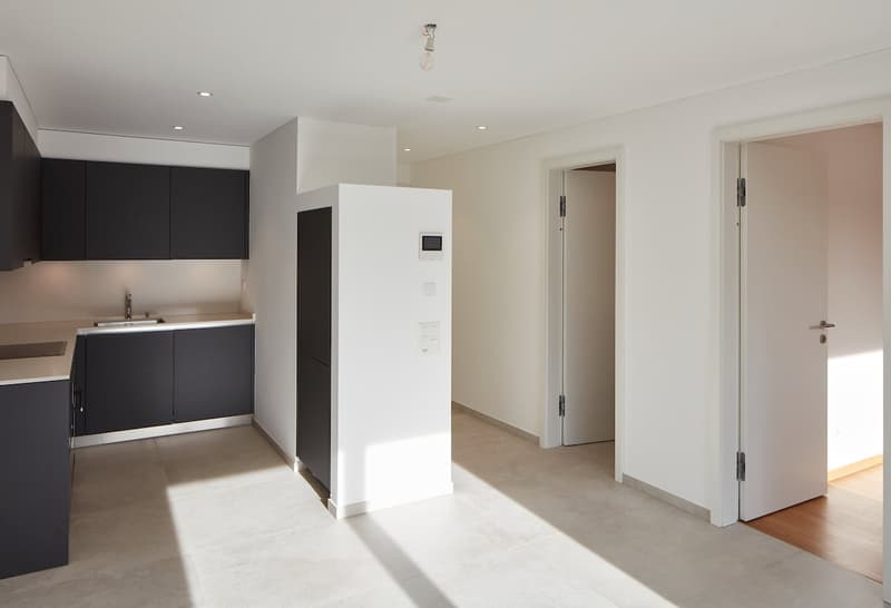 Appartamento 2.5 locali con giardino a Cassina d'Agno (1)