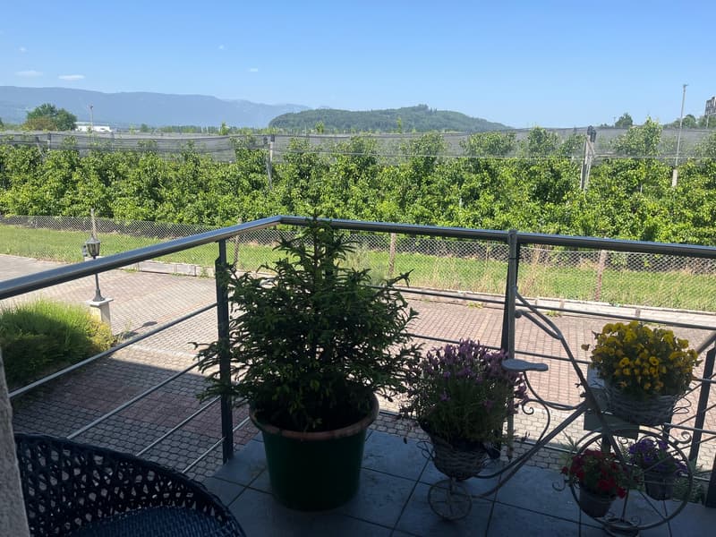 Ansicht von Terrasse beim Haupteingang zur Obstplantage; z.B. für ein Apero