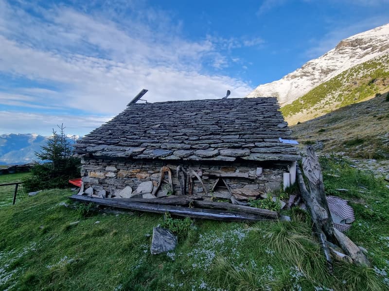 Rustico (5)
