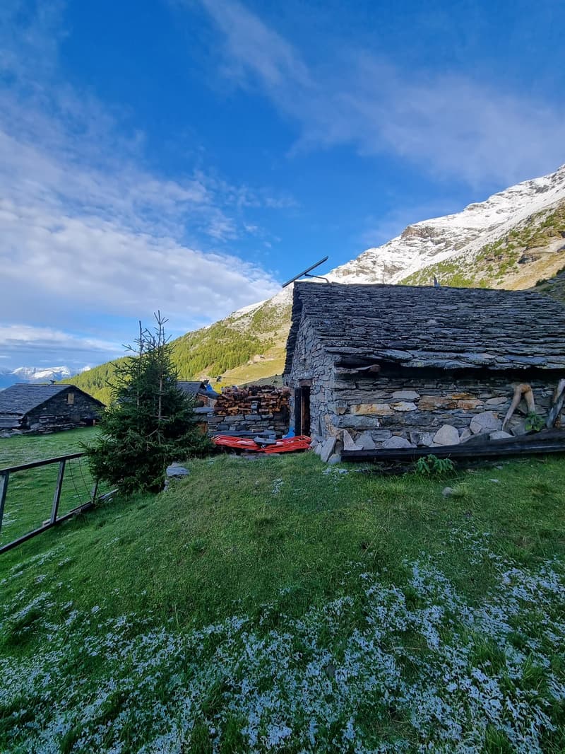 Rustico (6)