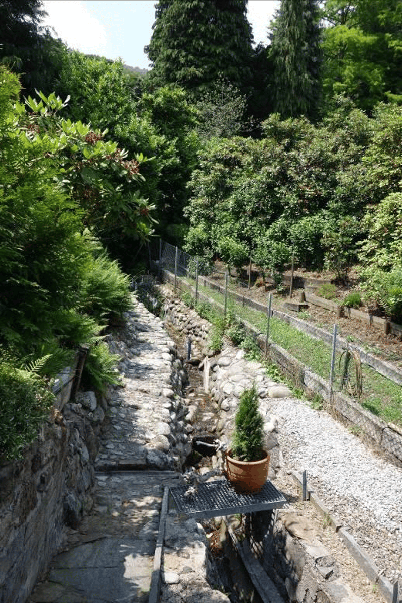 stone pathway, small plants in pots, gravel ground, fenced area with shrubs and trees, water channel