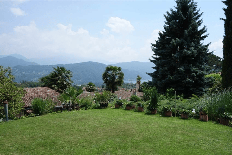 The image shows a picturesque outdoor landscape with a lush green lawn, palm trees, and a backdrop of mountains and hills. The scene appears to be in a mountainous, forested area with a view of the surrounding landscape.
