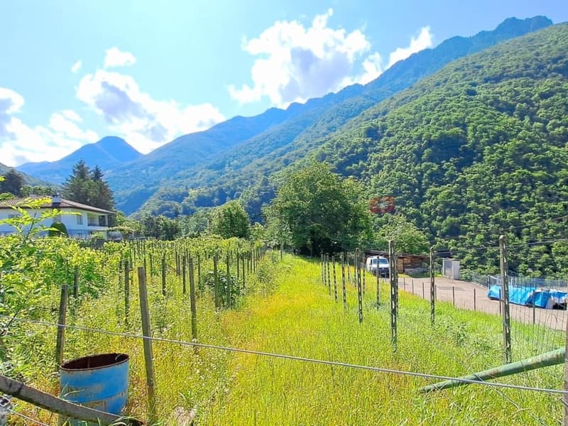 TOP PREIS Bauland an ruhiger Lage mit wunderschöner Aussicht in die Bergwelt in Pianezzo zu verkaufen 1