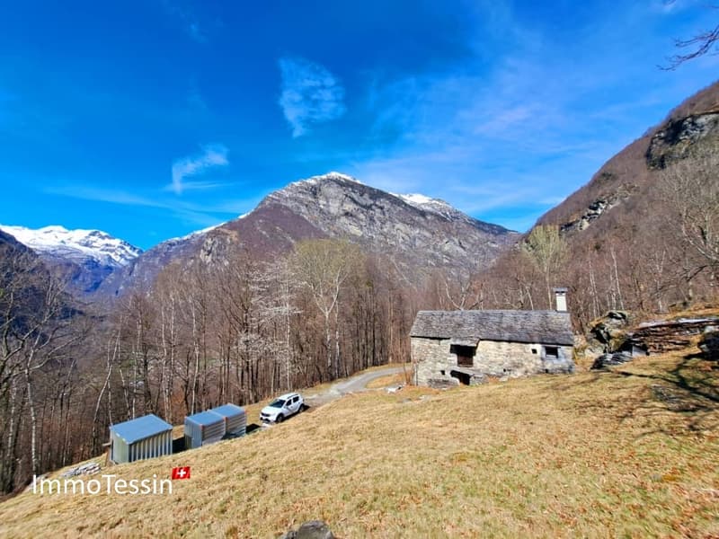 Außergewöhnliches Rustico mit Projekt und 9892 m2 Land 27