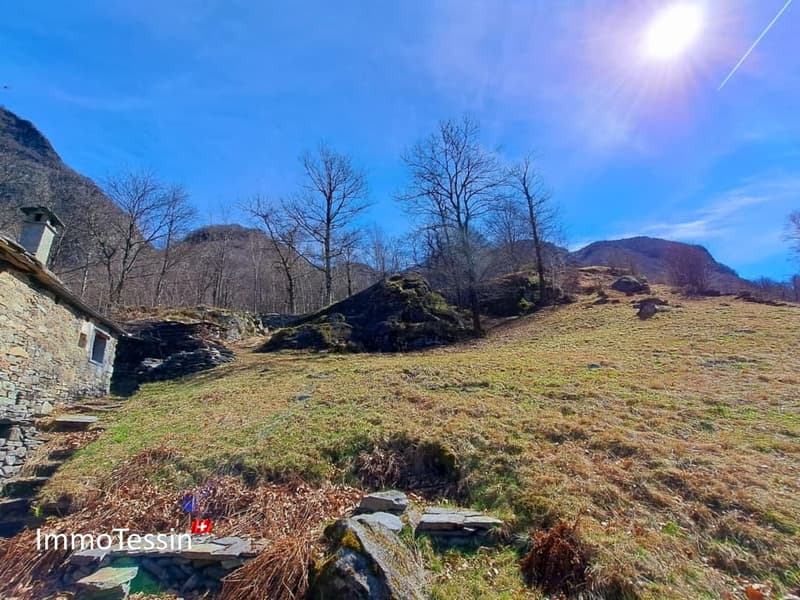 Außergewöhnliches Rustico mit Projekt und 9892 m2 Land 24