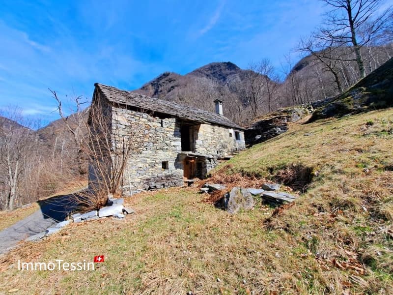 Außergewöhnliches Rustico mit Projekt und 9892 m2 Land 15