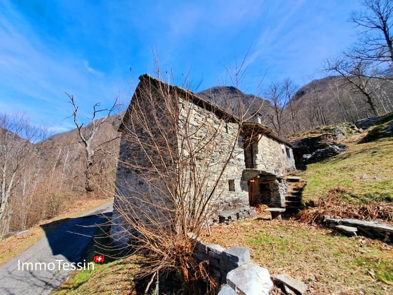 Außergewöhnliches Rustico mit Projekt und 9892 m2 Land 23