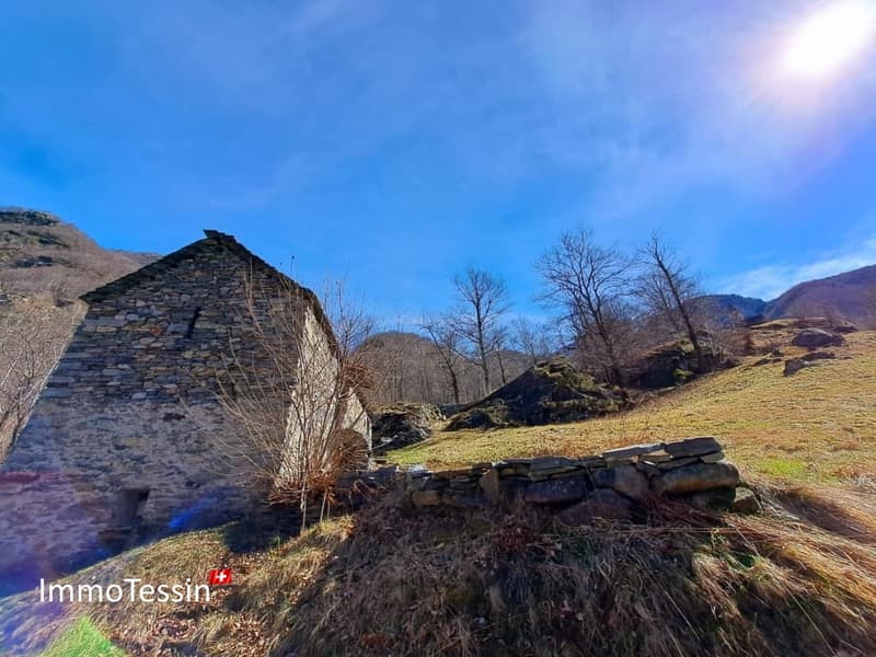 Außergewöhnliches Rustico mit Projekt und 9892 m2 Land 16