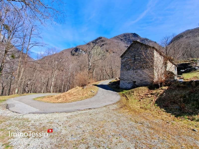 Außergewöhnliches Rustico mit Projekt und 9892 m2 Land 21