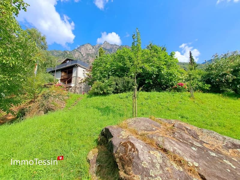 Ein Stück Paradies in Berzona mit 3000m2 Garten 10