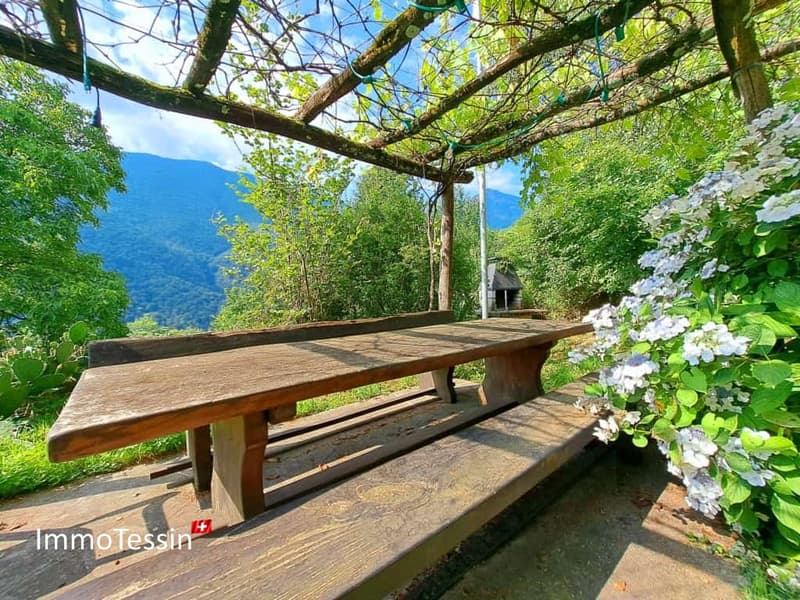 Ein Stück Paradies in Berzona mit 3000m2 Garten 7