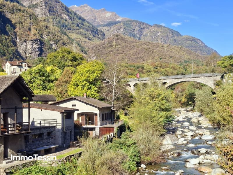 Ausnahmeparadies auf der einzigen bewohnten Insel im Tessin leben 203
