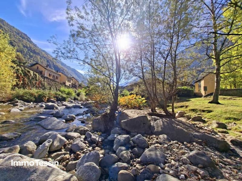 Ausnahmeparadies auf der einzigen bewohnten Insel im Tessin leben 219