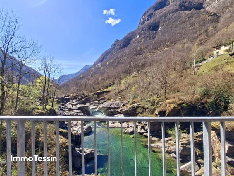 Authentisches Rustico im Grünen 832 qm Naturgrundstück nahe der Verzasca mit kleinem Pool 3