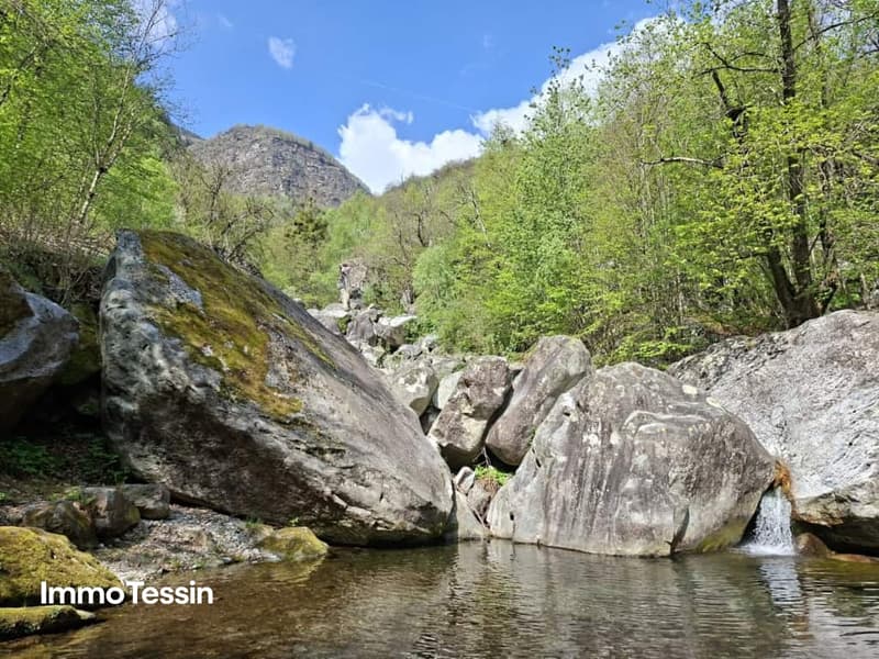 Grosszügiges Bauland mit Waldparzelle an sonniger, naturnaher Lage 10 Autominuten von Biasca entfernt 6
