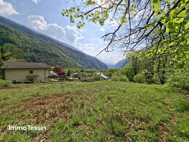 Grosszügiges Bauland mit Waldparzelle an sonniger, naturnaher Lage 10 Autominuten von Biasca entfernt 2