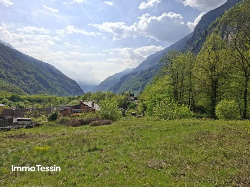 Grosszügiges Bauland mit Waldparzelle an sonniger, naturnaher Lage 10 Autominuten von Biasca entfernt 3