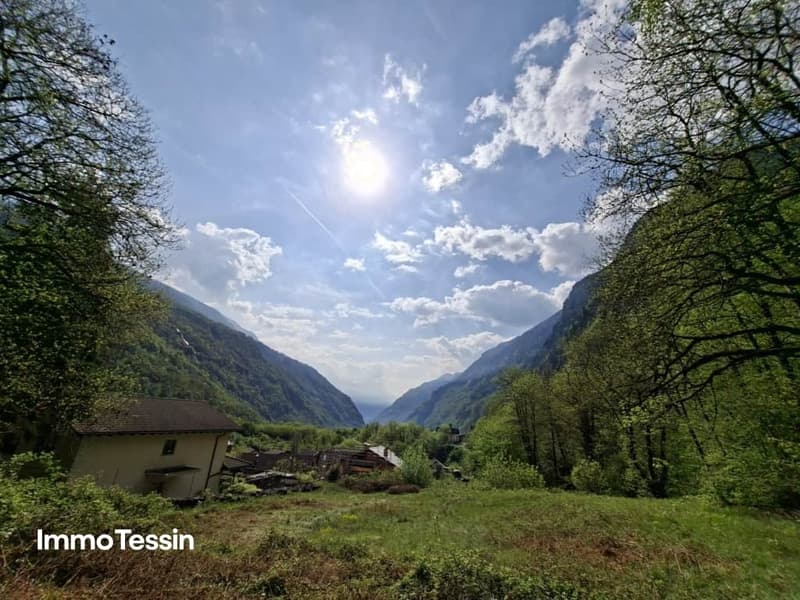 Grosszügiges Bauland mit Waldparzelle an sonniger, naturnaher Lage 10 Autominuten von Biasca entfernt 1