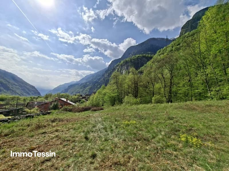 Grosszügiges Bauland mit Waldparzelle an sonniger, naturnaher Lage 10 Autominuten von Biasca entfernt 9