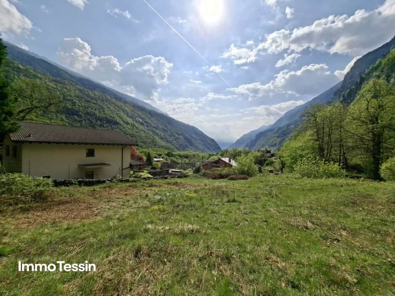 Grosszügiges Bauland mit Waldparzelle an sonniger, naturnaher Lage 10 Autominuten von Biasca entfernt 8