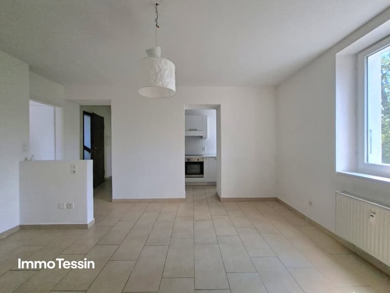 Attraktives Renditeobjekt 3 von 4 Wohnungen in einem 4Parteienhaus mit zusätzlicher Parzelle und privaten Parkplätzen 206