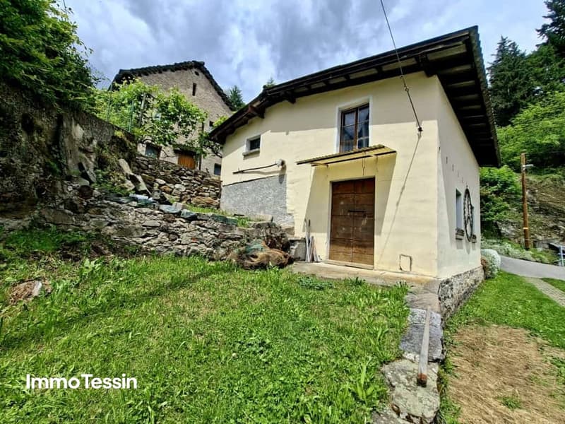 Sonniges Haus mit grossem Aussenbereich zwischen Bellinzona und dem Lukmanier Pass 23