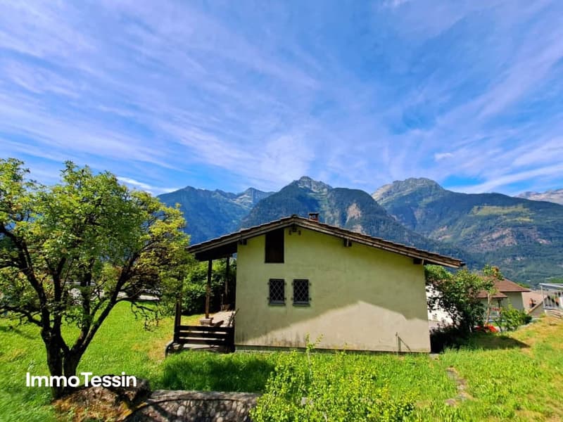 Blick ins Tal und ganz viel Ruhe 8
