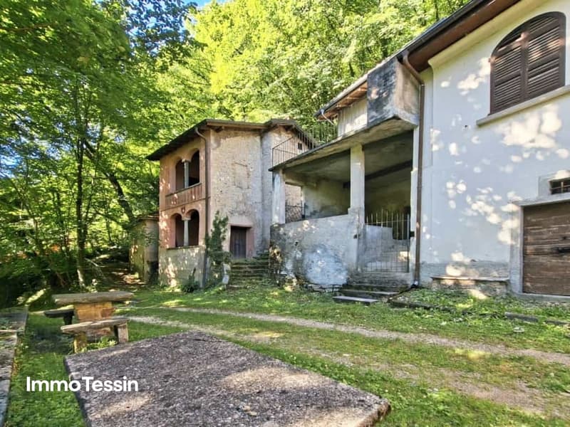 Ein Meisterwerk der Geschichte außergewöhnlicher Weinkeller aus den 1800er Jahren 1