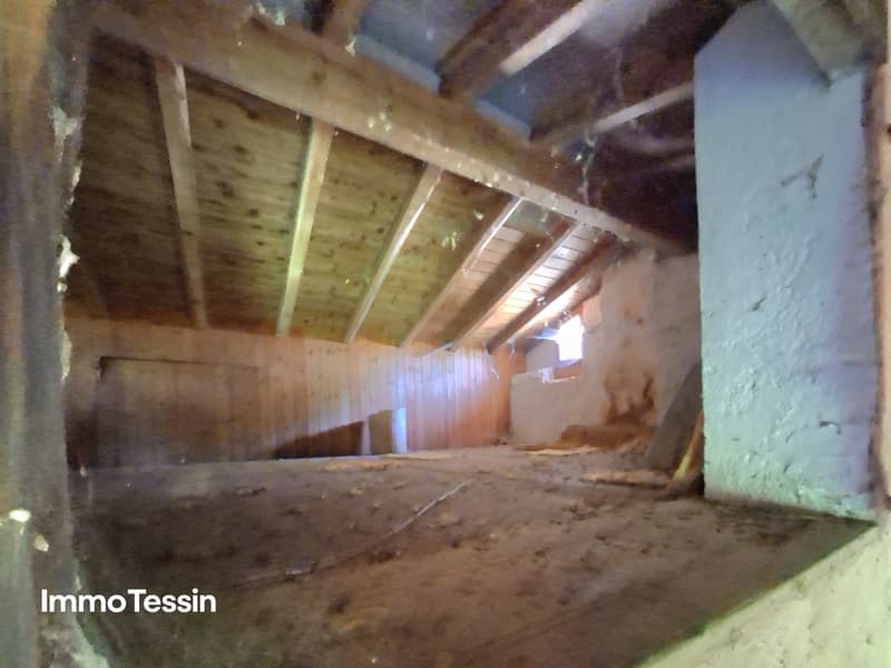 Ein Meisterwerk der Geschichte außergewöhnlicher Weinkeller aus den 1800er Jahren 5