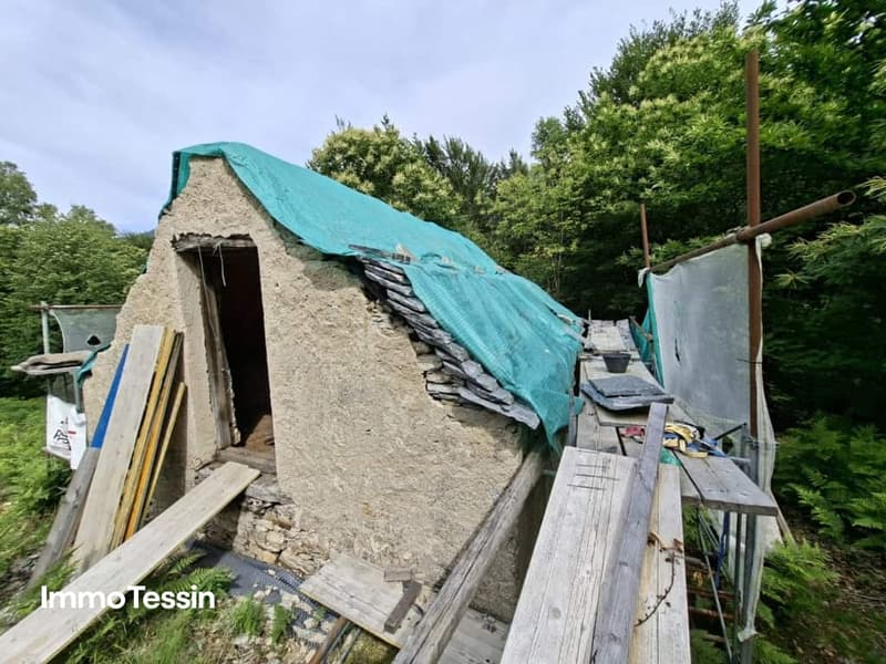 Authentisches Rustico an ruhiger Alleinlage mit 3?000 Quadratmeter Grundstück und bewilligtem Ausbauprojekt 6