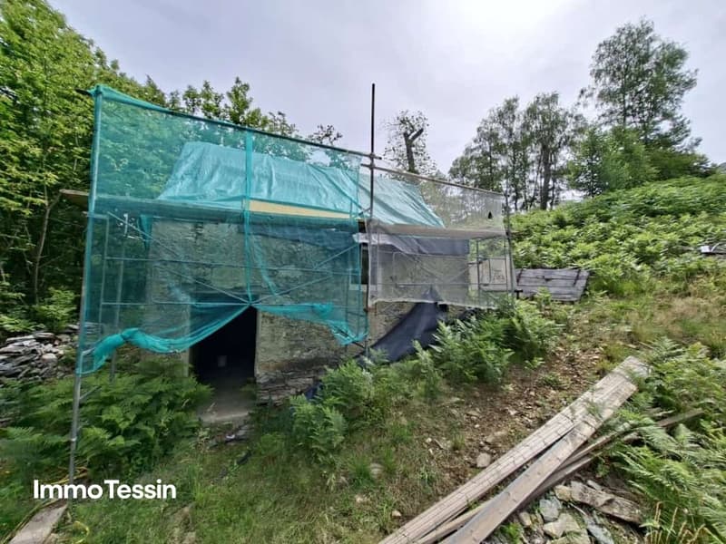 Authentisches Rustico an ruhiger Alleinlage mit 3?000 Quadratmeter Grundstück und bewilligtem Ausbauprojekt 4