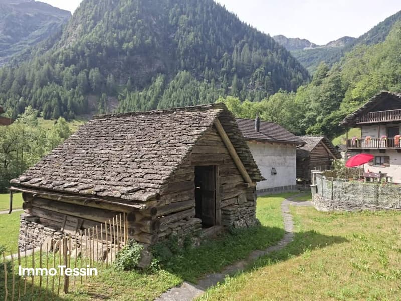 Typisches Rustico zum ausbauen mit Umschwung im Maggiatal14