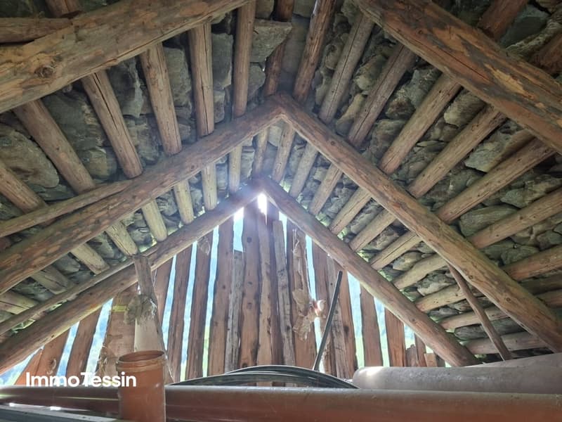 Typisches Rustico zum ausbauen mit Umschwung im Maggiatal07