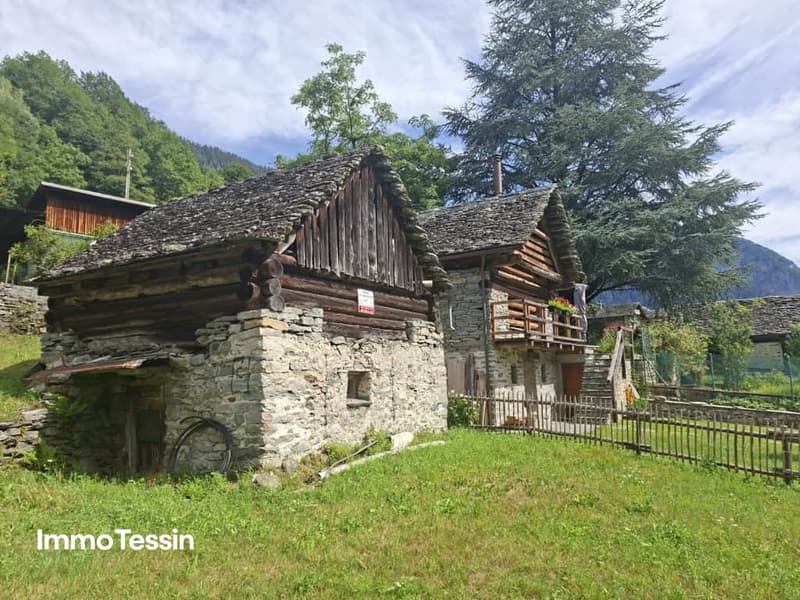 Typisches Rustico zum ausbauen mit Umschwung im Maggiatal01