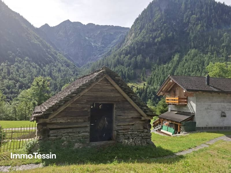 Typisches Rustico zum ausbauen mit Umschwung im Maggiatal17