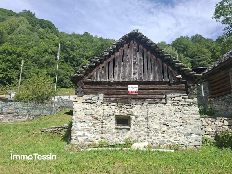 Typisches Rustico zum ausbauen mit Umschwung im Maggiatal02