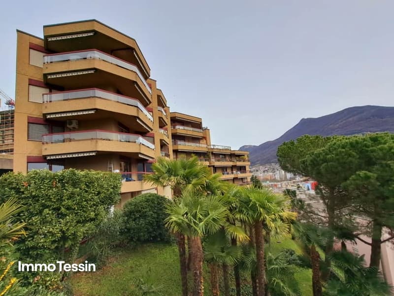 Einmalige Gelegenheit Große Wohnung & Pool mit Blick auf den Golf von Lugano 3