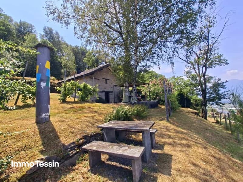 großzügige Liegenschaft mit zwei Rustici und separatem Atelier 14