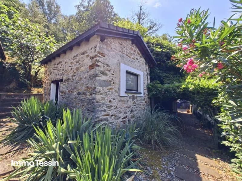 großzügige Liegenschaft mit zwei Rustici und separatem Atelier 16